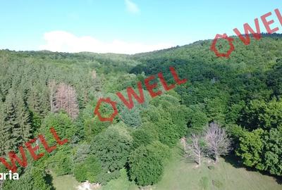 Teren de 98200 mp, în Moacșa - 13