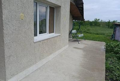 Casă cu 2 camere cu Teren 3868 Mp în Bârsănești - 10