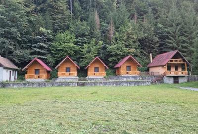 Teren de 3800 mp, în Borca - 3