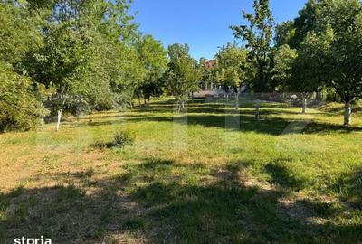 Casă cu 4 camere cu Teren 2040 Mp în Chevereșu Mare - 8