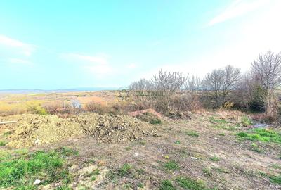 Teren Construcții intravilan de 1033 mp, în Daia - 3