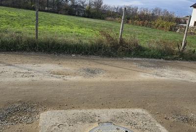 Teren de 3000 mp, în Sud