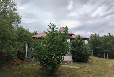 Casă cu 3 camere în Aninoasa - 1