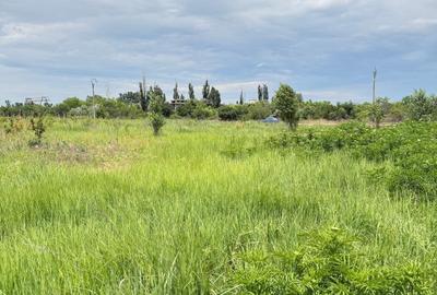Teren agricol intravilan de 3450 mp, în Giulești Sârbi - 2