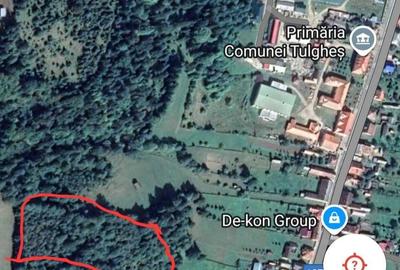 Teren de 13879 mp, în Tulgheș - 7