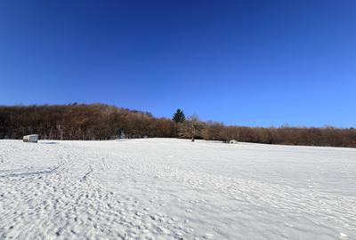 Teren agricol extravilan de 15000 mp, în Vulcan - 3