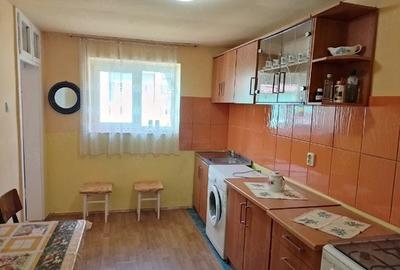 Casă cu 2 camere cu Teren 820 Mp în Suceagu - 4