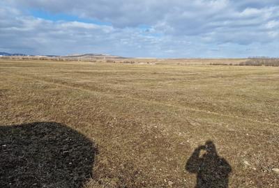 Teren agricol extravilan de 10000 mp, în Est - 4