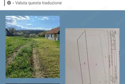 Teren de 4629 mp, în Negreni - 4