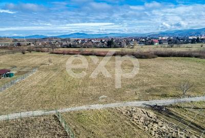 Teren Construcții extravilan de 3120 mp, în Turcheș - 14