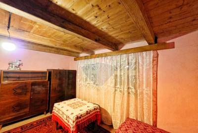 Casă individuală cu 4 camere cu Teren 10486 Mp în Ierșnic - 21