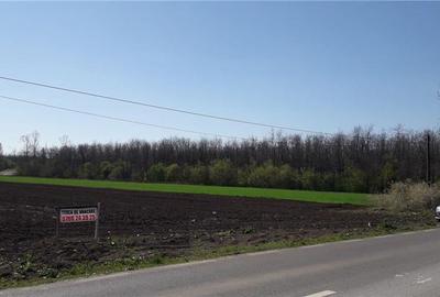 Teren de 25000 mp, în Afumați - 2
