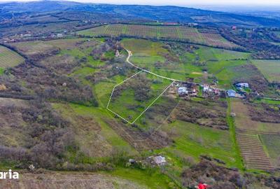 Teren de 33500 mp, în Bucov - 5