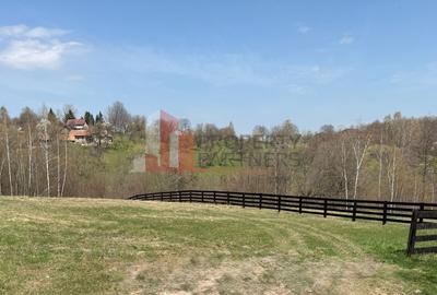 Teren Construcții intravilan de 1200 mp, în Bran - 11