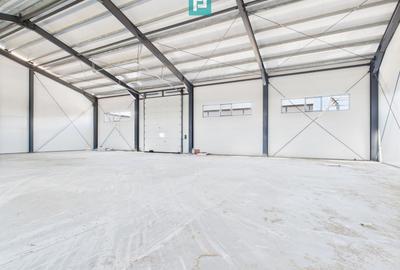 Spațiu industrial, de 440 mp, în Giarmata