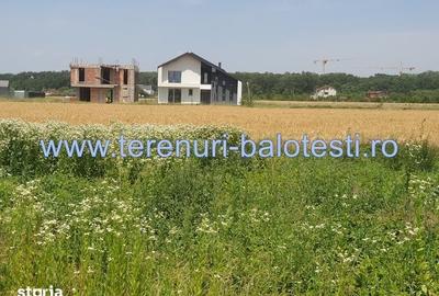 Teren de 500 mp, în Balotești - 11