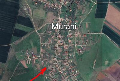 Teren de 3050 mp, în Murani - 1