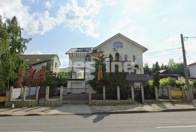 Spațiu comercial, de 903.46002197266 mp, în Bucium