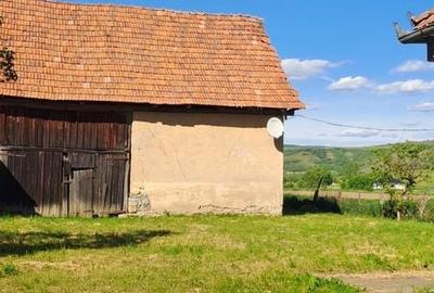 Casă cu 2 camere în Șoimeni - 4