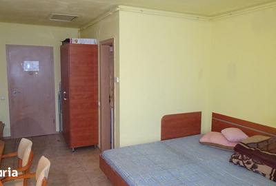 Garsonieră în Gojdu