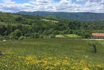 Teren de 1140 mp, în Armeniș - 2