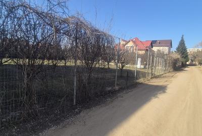 Teren Construcții intravilan de 1000 mp, în Iancu Nicolae - 8