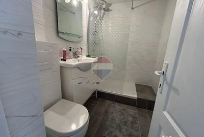 Apartament cu 3 camere decomandat în Vasile Alecsandri - 13
