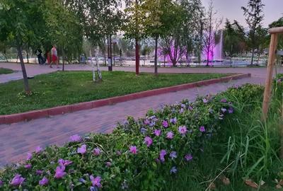 Apartament cu 2 camere în Ozana