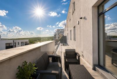 Penthouse cu 4 camere semidecomandat, mobilat în Sopor - 24