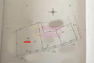 Teren agricol intravilan de 3274 mp, în Lunca Mare - 2