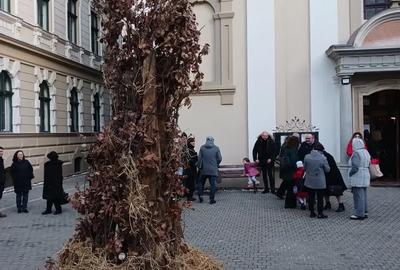Casă cu 6 camere în Bazoș - 1