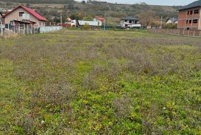 Teren Construcții intravilan de 2300 mp, în Exterior Nord - 3