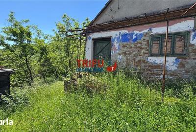 Casă cu 2 camere cu Teren 1493 Mp în Vințu de Jos - 2