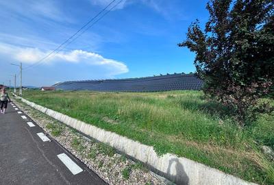 Teren de 2411 mp, în Șotânga - 3