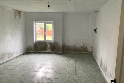 Casă individuală cu 4 camere cu Teren 2518 Mp în Otelec - 9