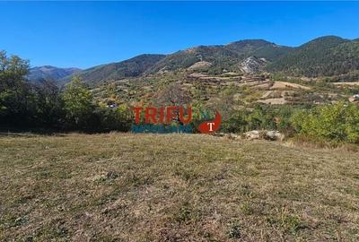 Teren de 9770 mp, în Meteș