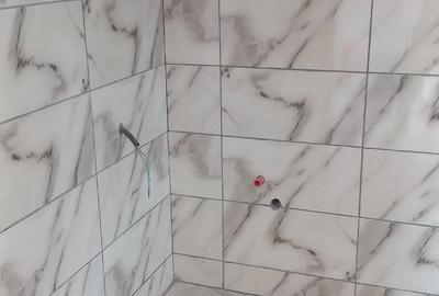 Casă cu 3 camere cu Teren 300 Mp în Central