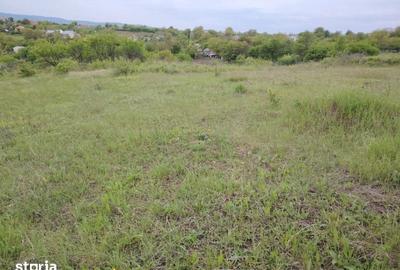 Teren de 1800 mp, în Miroslava