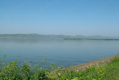 Teren de 8000 mp, în Drăgoești - 4