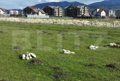 Teren de 4375 mp, în Stupini - 1