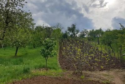 Casă cu 3 camere cu Teren 5000 Mp în Mozăceni - 5