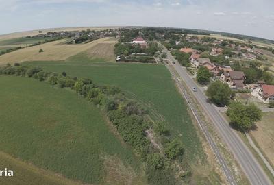 Teren de 8000 mp, în Bodrogu Nou