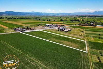 Teren Construcții intravilan de 8400 mp, în Exterior Est - 3