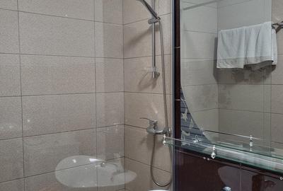 Apartament cu 2 camere semidecomandat în Dosu Bricii - 4