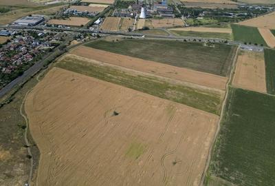 Teren Construcții intravilan de 4003 mp, în Grădiște - 4