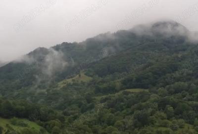 Teren de 1474 mp, în Sălciua - 1