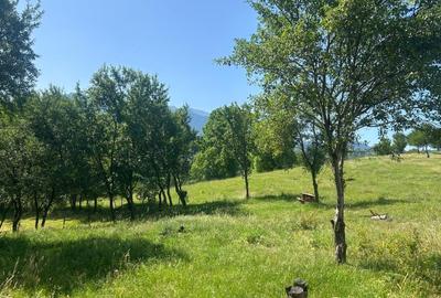 Teren agricol intravilan de 2951 mp, în Bran - 4