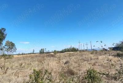 Teren de 2441 mp, în Jugureni - 1