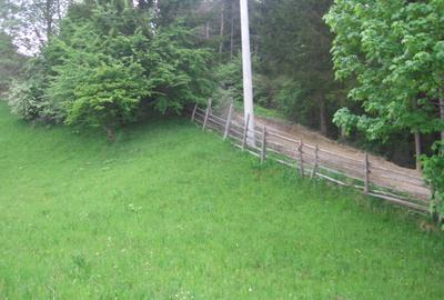 Teren de 4084 mp, în Valea Doftanei - 6