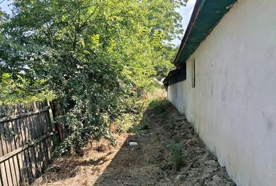 Casă cu Teren 2800 Mp în Ciurari